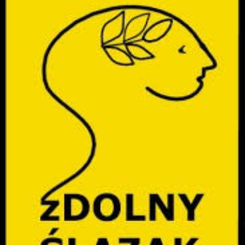 zdolnyslazak